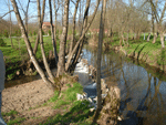 Banovac 5